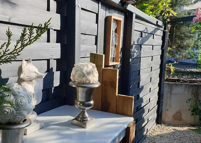 I Have A Dream 科尔马