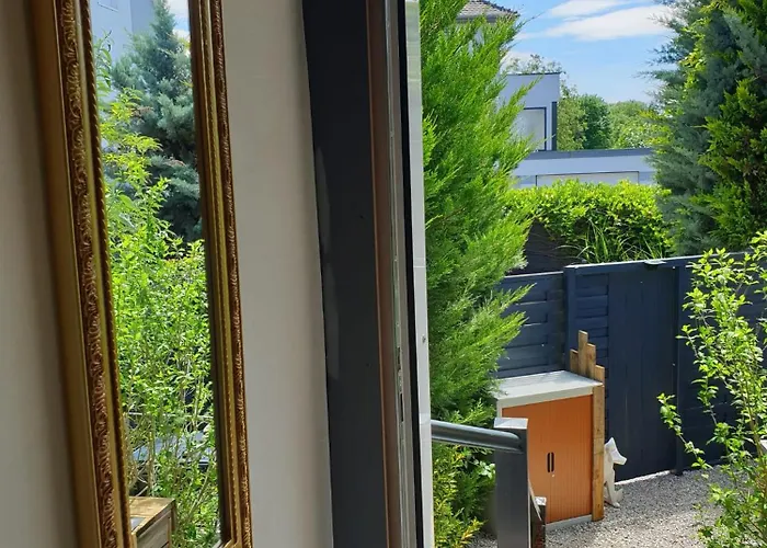 公寓 I Have A Dream 科尔马